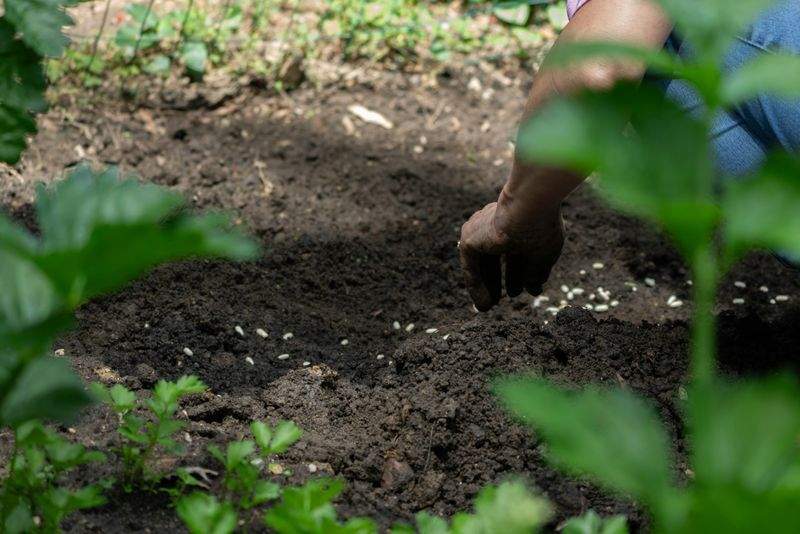 Préparer son jardin au printemps : les gestes essentiels