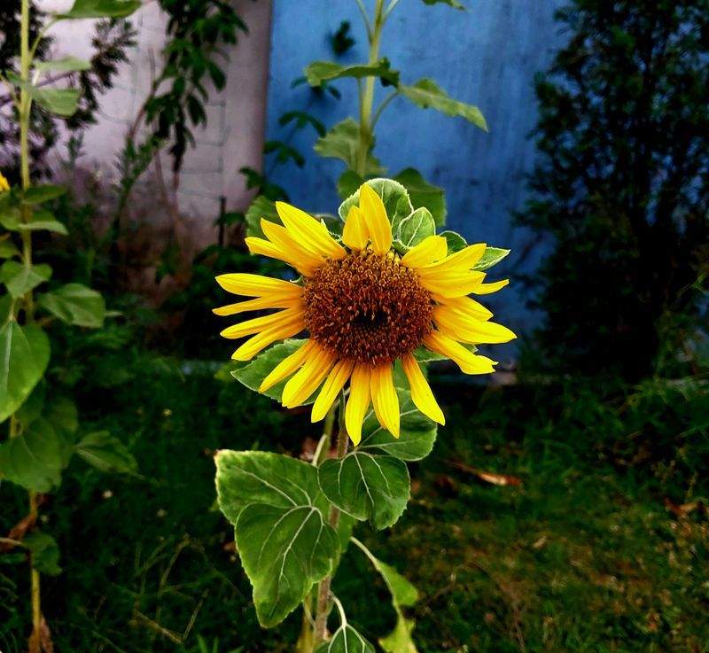 Arrosage du jardin : adopter les bons réflexes dès le début de saison