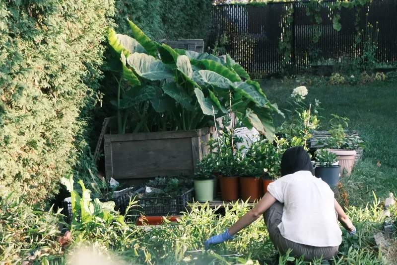 Jardins & Harmonie 7